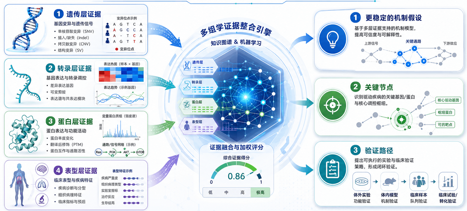 多组学证据整合引擎与机制推断流程图